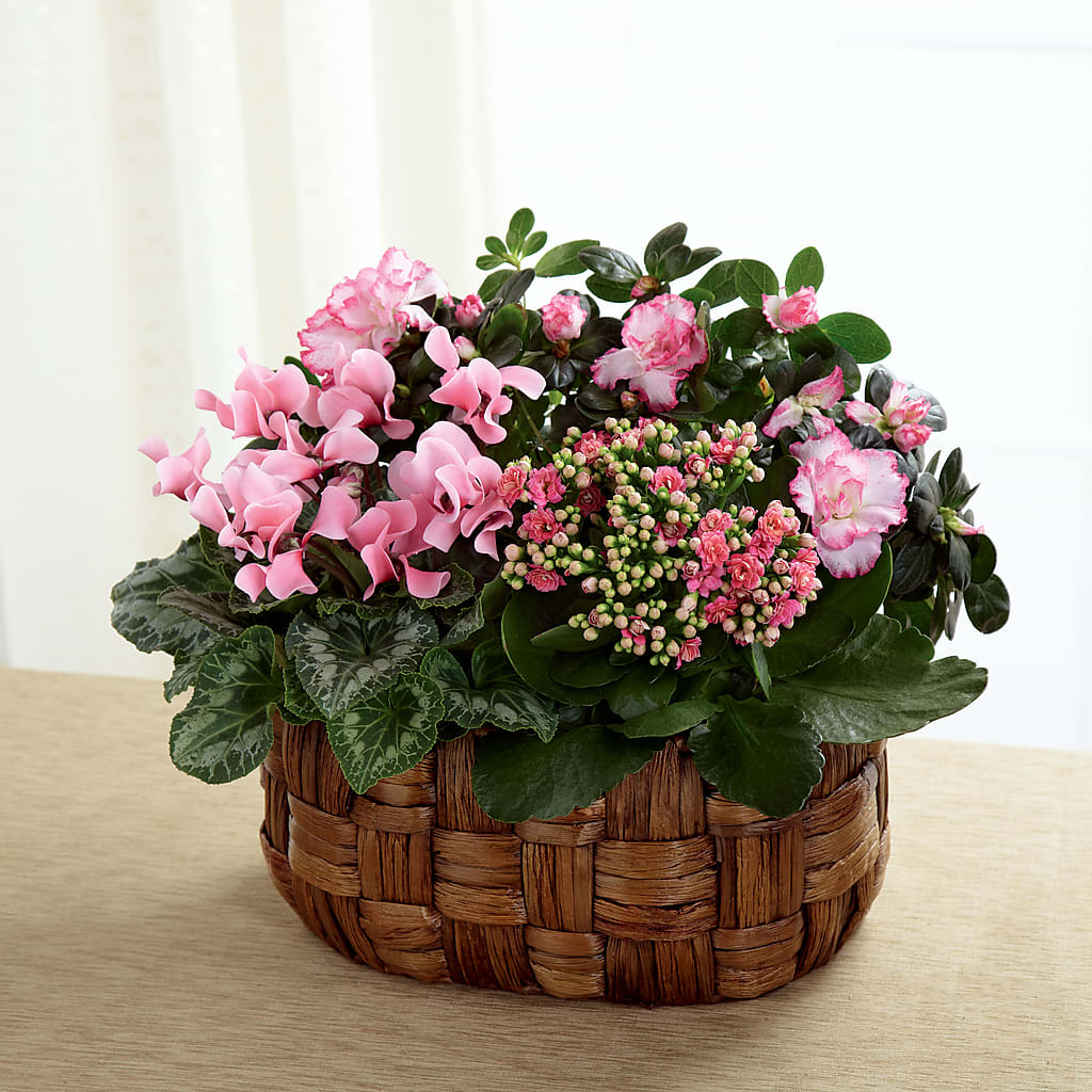 Pink Assortment – Flowers By Karen Inc, Ocean Springs MS
