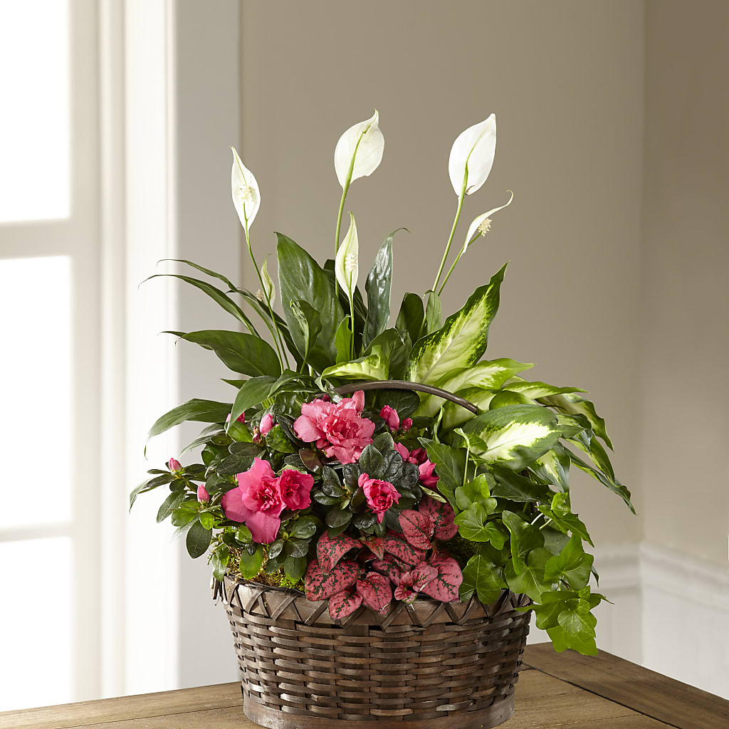 Dream in Pink Dishgarden – Flowers By Karen Inc, Ocean Springs MS