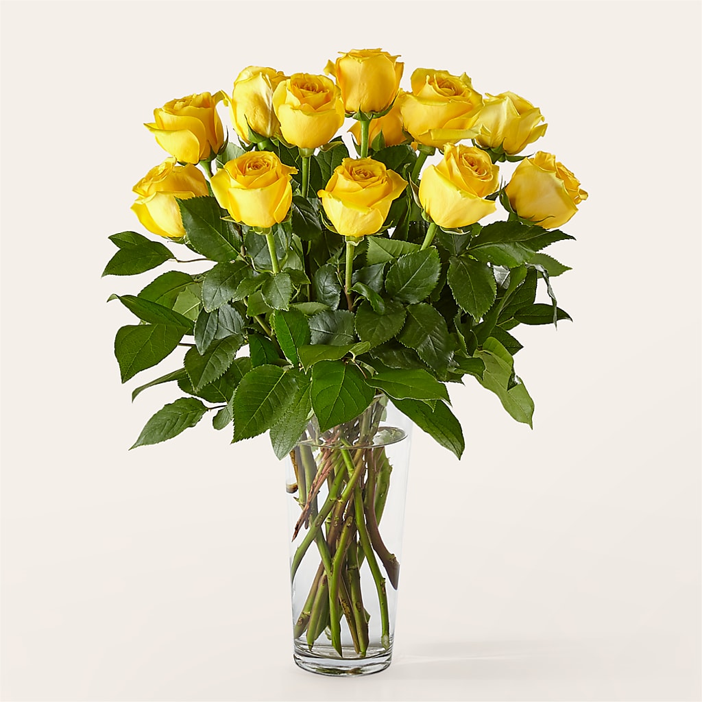 Long Stem Yellow Rose Bouquet – Flowers By Karen Inc, Ocean Springs MS
