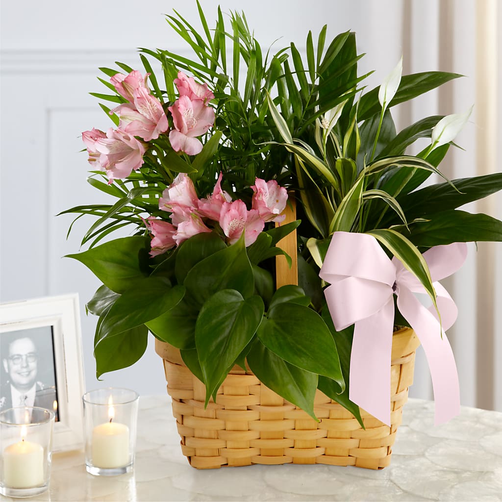 Living Spirit Dishgarden – Flowers By Karen Inc, Ocean Springs MS