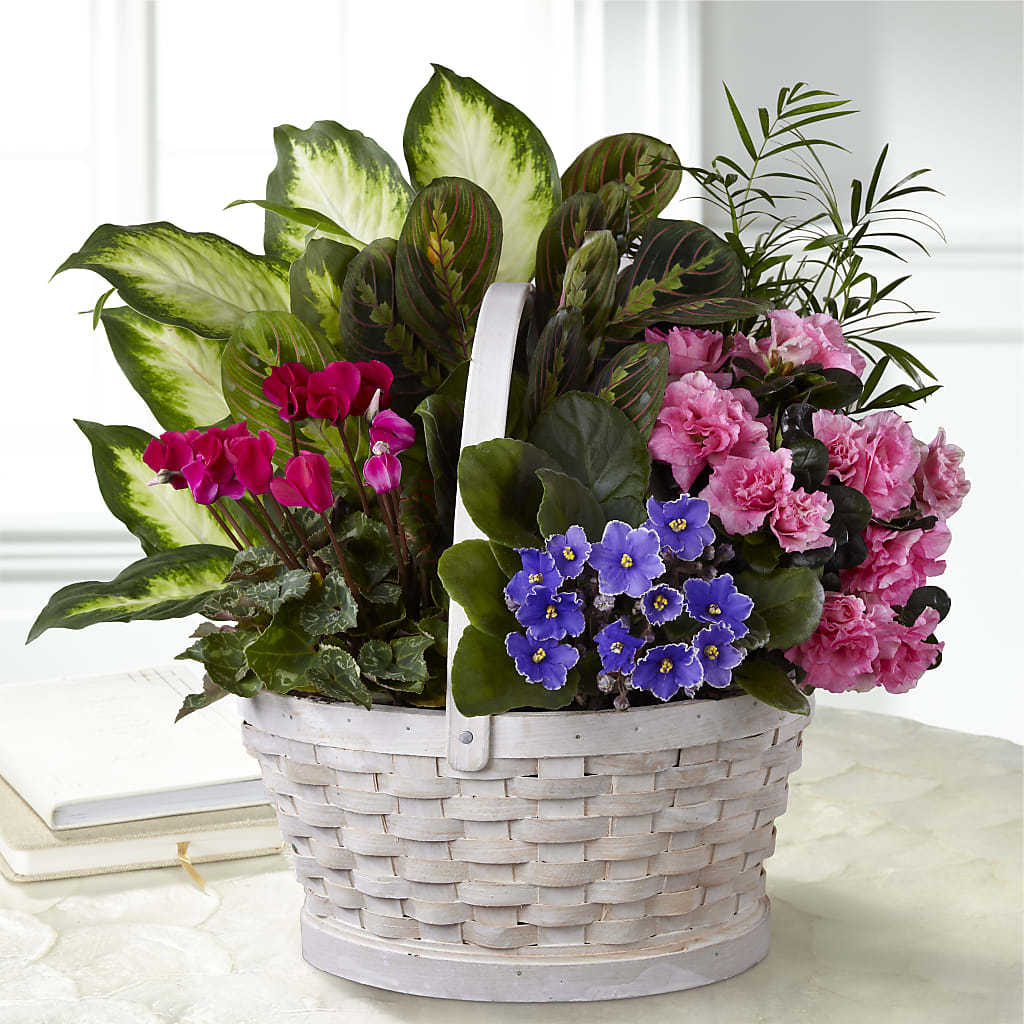 Peaceful Garden Planter – Flowers By Karen Inc, Ocean Springs MS
