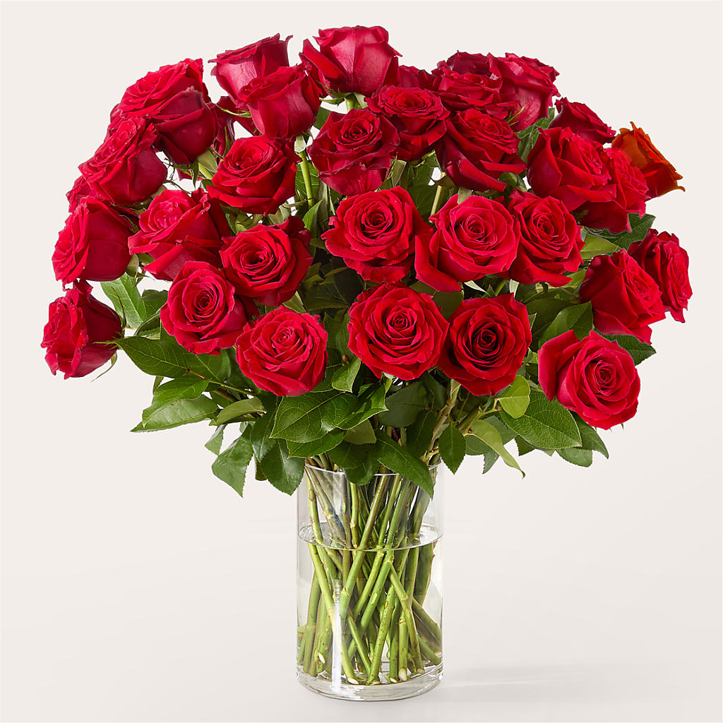 The One Red Rose Bouquet – Flowers By Karen Inc, Ocean Springs MS