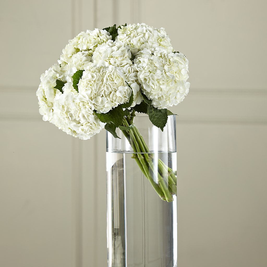 White Hydrangea Hand-Tied Bouquet – Flowers By Karen Inc, Ocean Springs MS