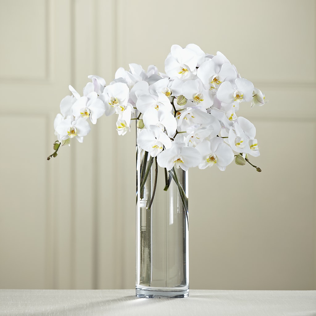 White Phalaenopsis Bouquet – Flowers By Karen Inc, Ocean Springs MS