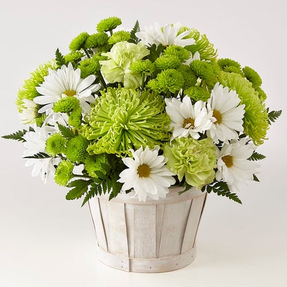 Lucky Charm Basket (Standard) –  Flowers By Karen Inc, Ocean Springs MS
