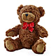 Adorable Plush Bear –  Flowers By Karen Inc, Ocean Springs MS