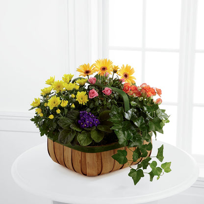 Gentle Blossoms Basket –  Flowers By Karen Inc, Ocean Springs MS
