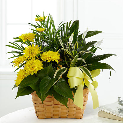 Loving Light Dishgarden –  Flowers By Karen Inc, Ocean Springs MS