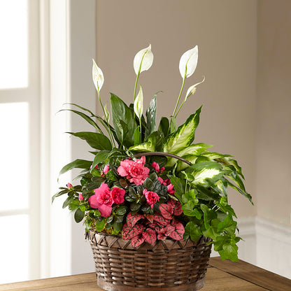 Dream in Pink Dishgarden –  Flowers By Karen Inc, Ocean Springs MS