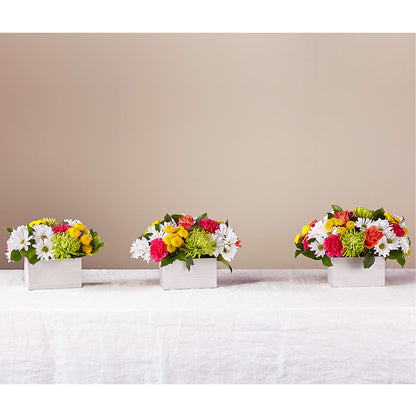 Sorbet Bouquet –  Flowers By Karen Inc, Ocean Springs MS