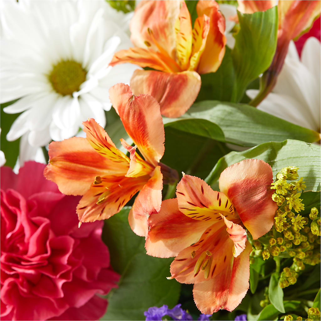 Oopsie Daisy Box Bouquet –  Flowers By Karen Inc, Ocean Springs MS