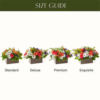 Oopsie Daisy Box Bouquet –  Flowers By Karen Inc, Ocean Springs MS