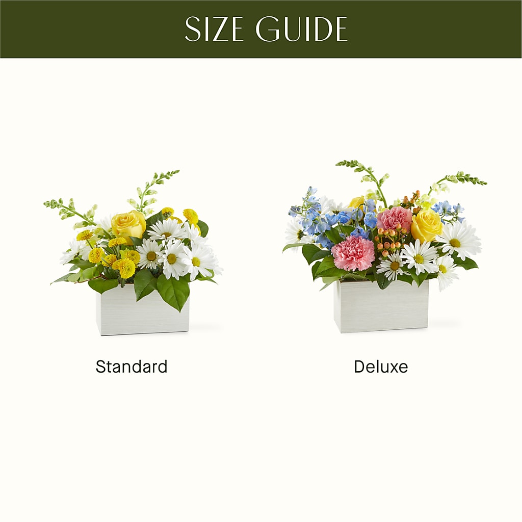 Sun Salutation Box Bouquet –  Flowers By Karen Inc, Ocean Springs MS