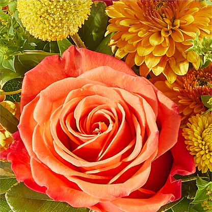 Gourdgeous Pumpkin –  Flowers By Karen Inc, Ocean Springs MS