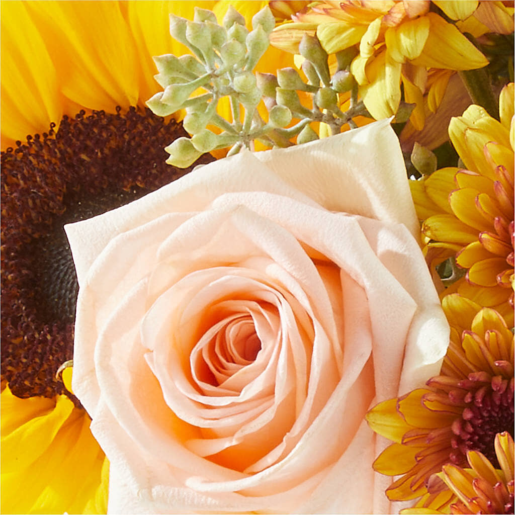Pumpkin to Talk About Bouquet –  Flowers By Karen Inc, Ocean Springs MS