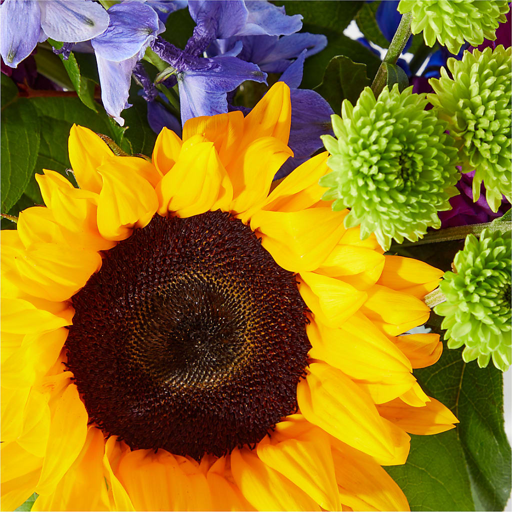 Catching Rays Bouquet –  Flowers By Karen Inc, Ocean Springs MS