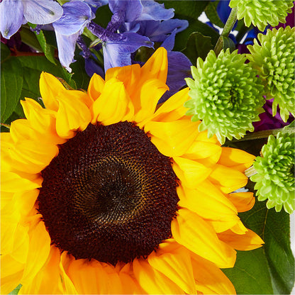 Catching Rays Bouquet –  Flowers By Karen Inc, Ocean Springs MS