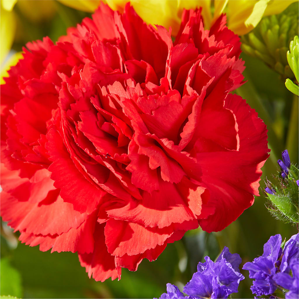 Brighter Days Bouquet –  Flowers By Karen Inc, Ocean Springs MS