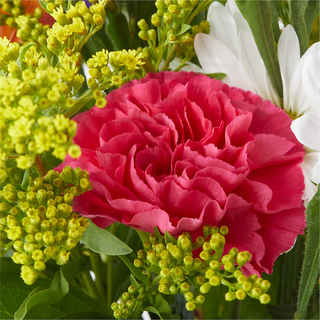Oopsie Daisy Bouquet –  Flowers By Karen Inc, Ocean Springs MS
