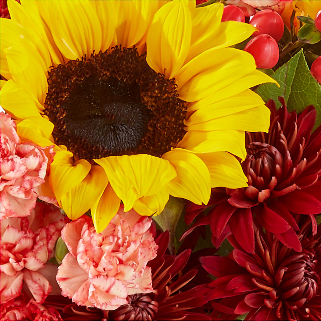 Fresh Cider Bouquet –  Flowers By Karen Inc, Ocean Springs MS