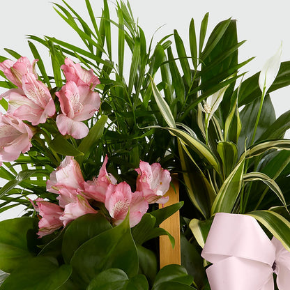 Living Spirit Dishgarden –  Flowers By Karen Inc, Ocean Springs MS