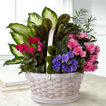 Peaceful Garden Planter –  Flowers By Karen Inc, Ocean Springs MS