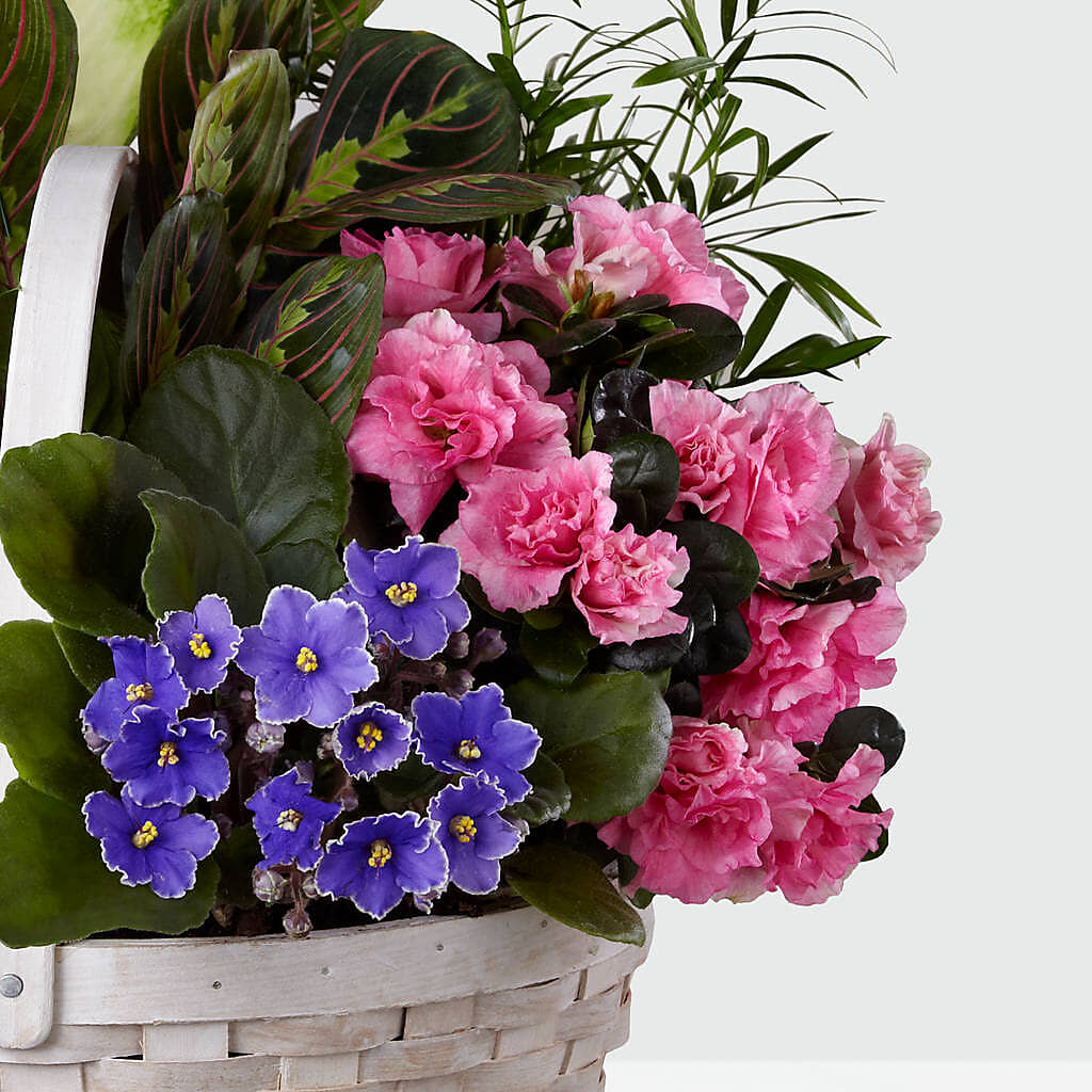 Peaceful Garden Planter –  Flowers By Karen Inc, Ocean Springs MS