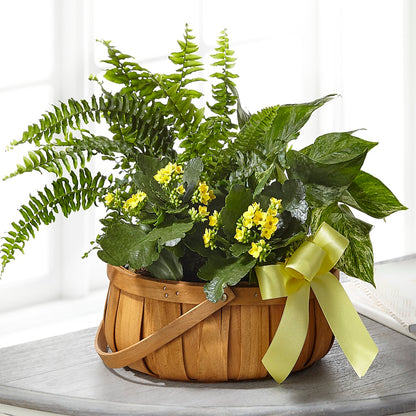 Always Dear Dishgarden –  Flowers By Karen Inc, Ocean Springs MS