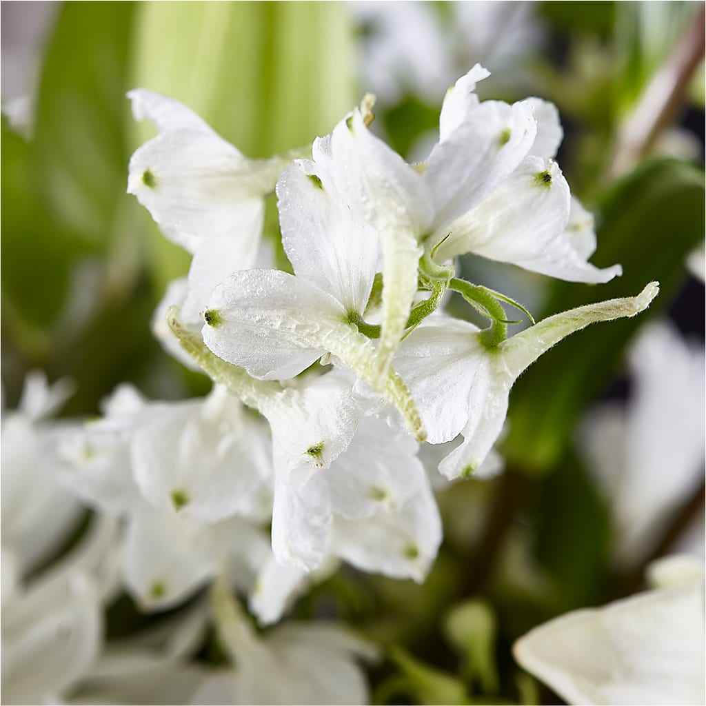 Classic Ivory – A Florist Original –  Flowers By Karen Inc, Ocean Springs MS