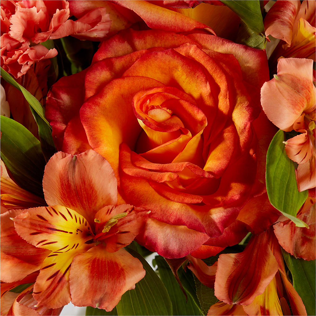 Apricot Glow Bouquet –  Flowers By Karen Inc, Ocean Springs MS