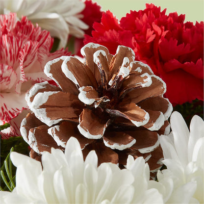 Candy Cane Lane Bouquet –  Flowers By Karen Inc, Ocean Springs MS