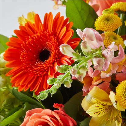 Autumn Sunshine Bouquet –  Flowers By Karen Inc, Ocean Springs MS