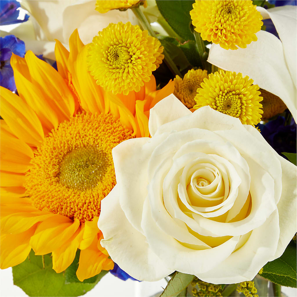 Stargazing Bouquet –  Flowers By Karen Inc, Ocean Springs MS