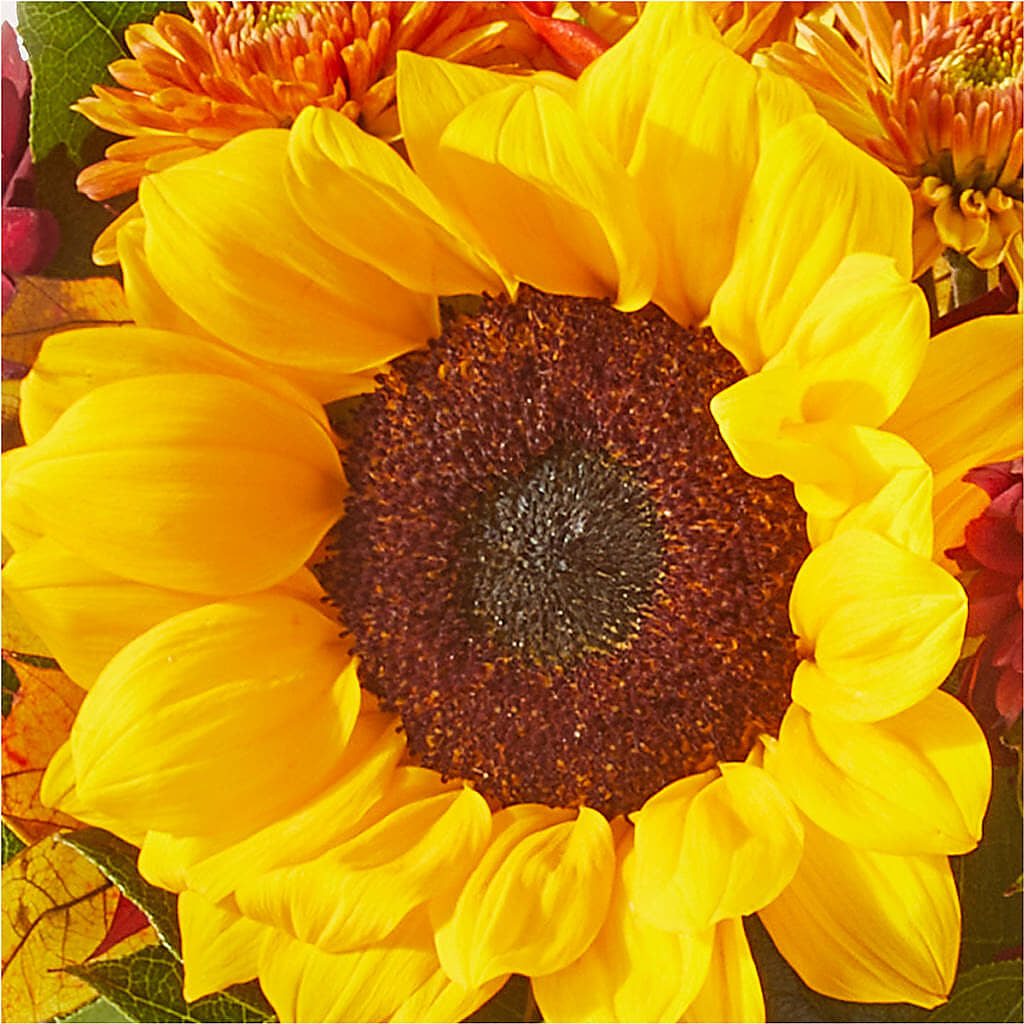 Sunny Side Bouquet –  Flowers By Karen Inc, Ocean Springs MS