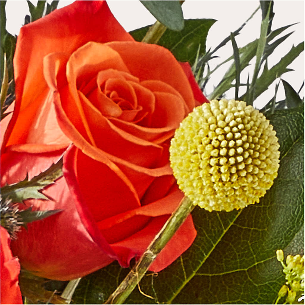 Disco Bouquet –  Flowers By Karen Inc, Ocean Springs MS
