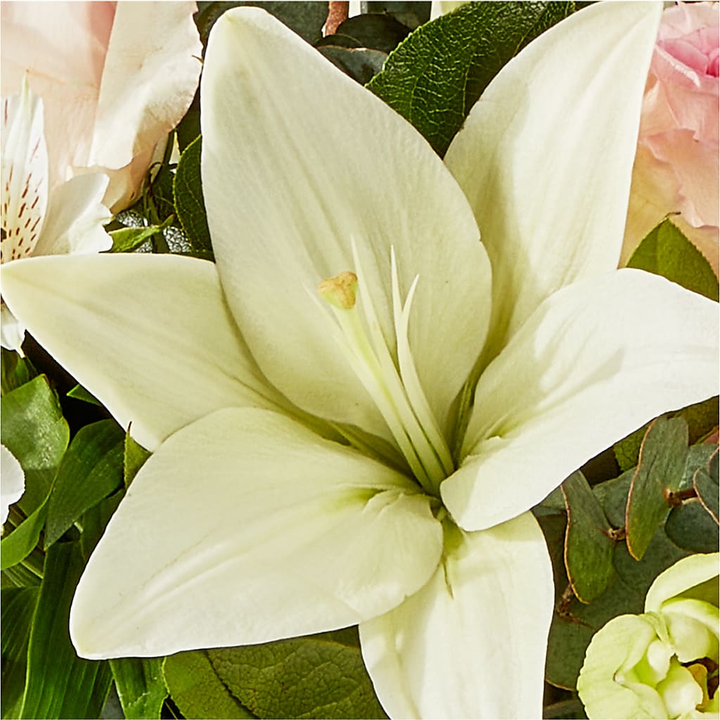 Ballet Slippers Bouquet –  Flowers By Karen Inc, Ocean Springs MS