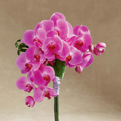 Glorious Bouquet –  Flowers By Karen Inc, Ocean Springs MS
