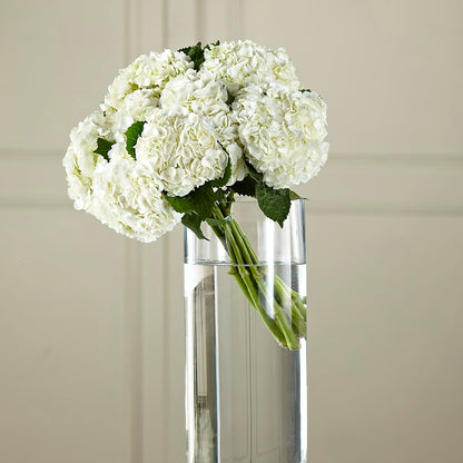 White Hydrangea Hand-Tied Bouquet –  Flowers By Karen Inc, Ocean Springs MS