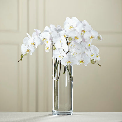 White Phalaenopsis Bouquet –  Flowers By Karen Inc, Ocean Springs MS