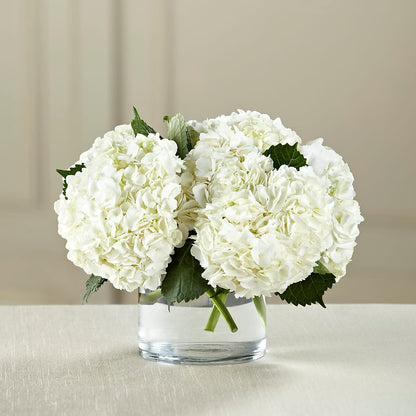 White Hydrangea Bouquet –  Flowers By Karen Inc, Ocean Springs MS